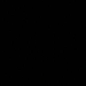 Meet your Posher, Malia